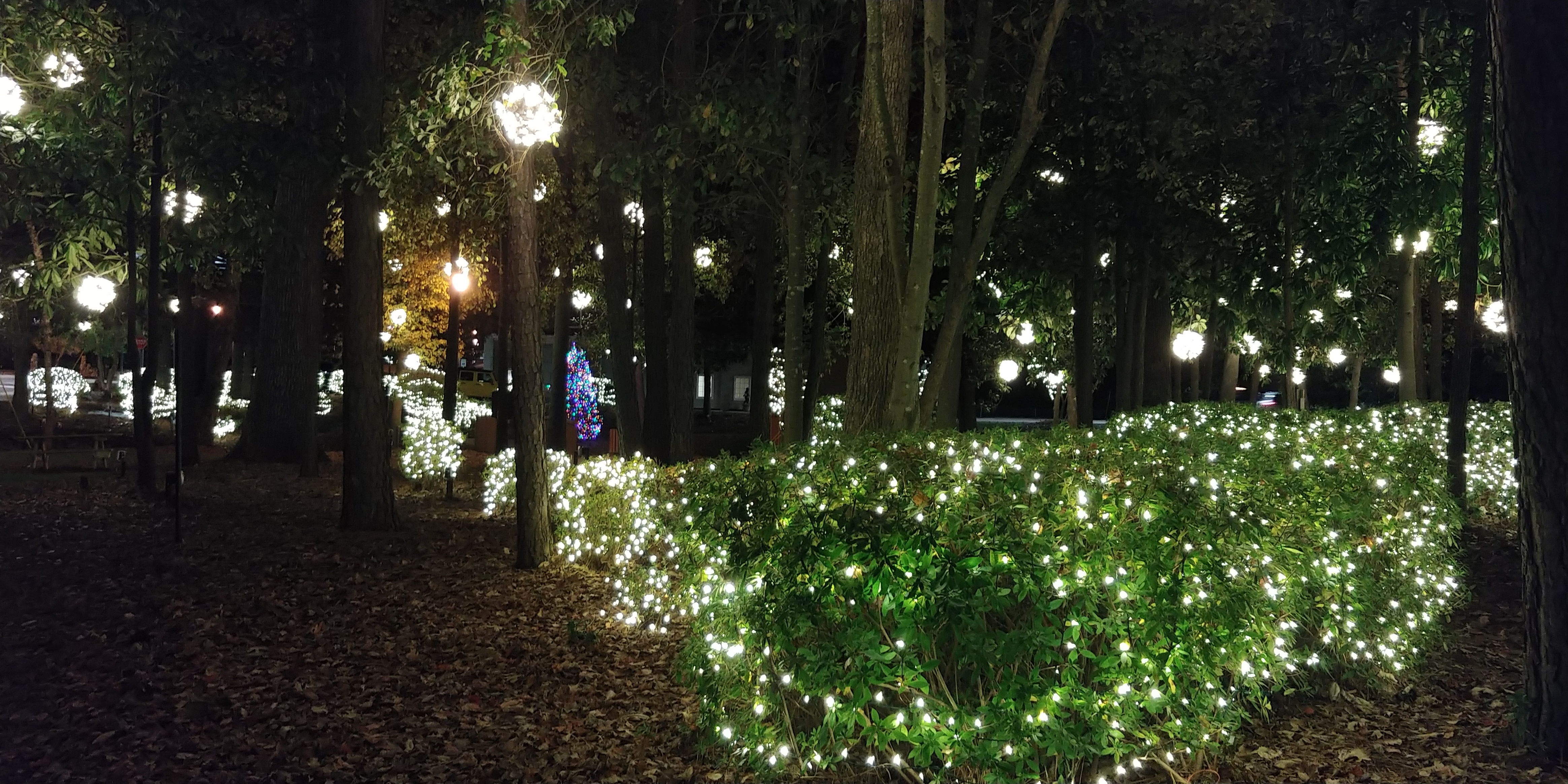 fuquay